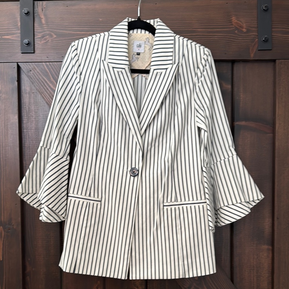 CAbi Blue and White Striped Blazer